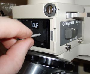 Microscope olympus bh2-udf removing.jpg