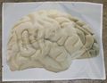 Mcmaster brainscope ezlaze brain.jpg